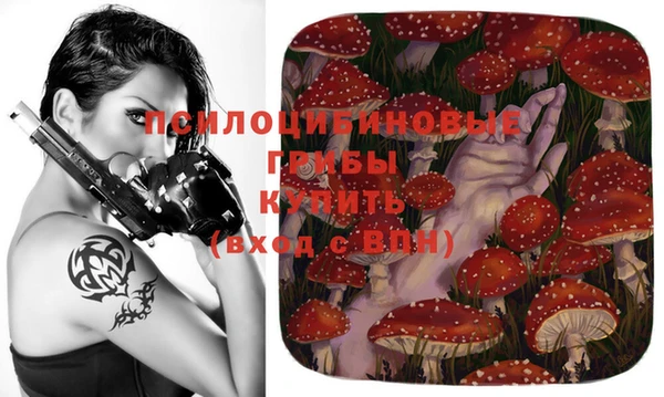 метадон Абаза