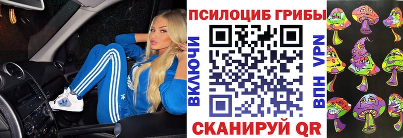 Псилоцибиновые грибы Cubensis  купить наркотики цена  Новотроицк 