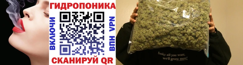 Марихуана планчик  Новотроицк 